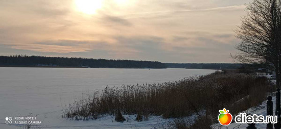 220 ����: ������