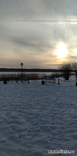 221 ����: ������