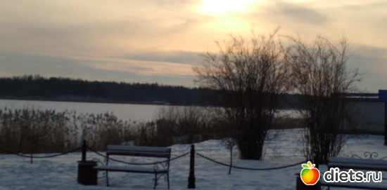 222 ����: ������