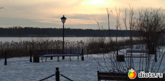 223 ����: ������