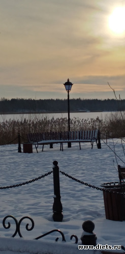 224 ����: ������