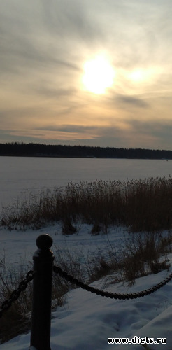 225 ����: ������