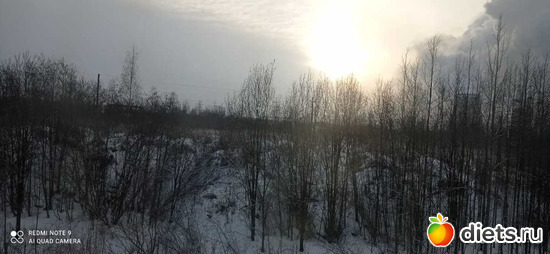 226 ����: ������