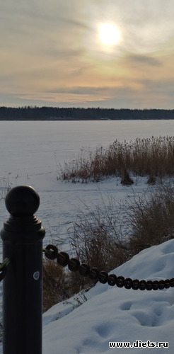 229 ����: ������