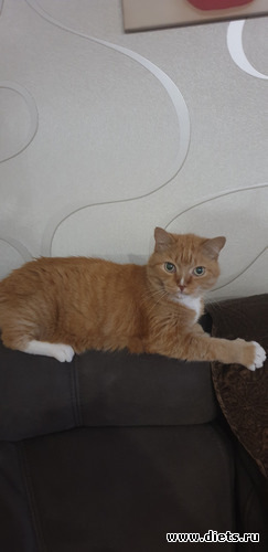 40 фото: Просто