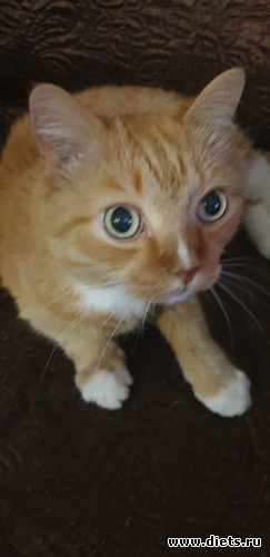 41 фото: Просто