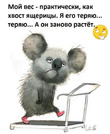 Из интернета