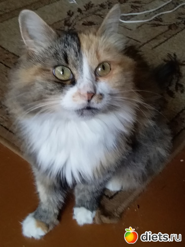 8 ����: ����� ����