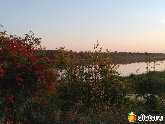 1 фото: 2021лето