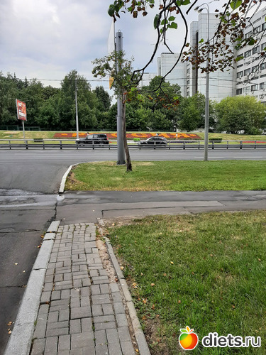 8 фото: 28072021