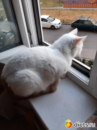 12 фото: 28072021