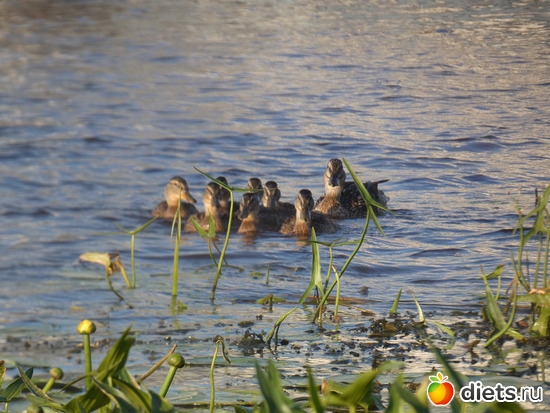 24 фото: 2021лето