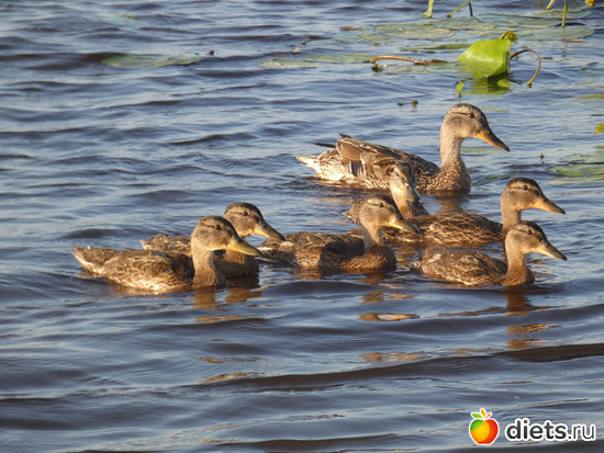 25 фото: 2021лето