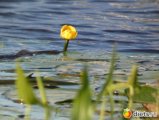 30 фото: 2021лето