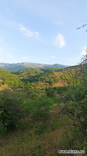 7 фото: Канака 28/05-06/06/2021