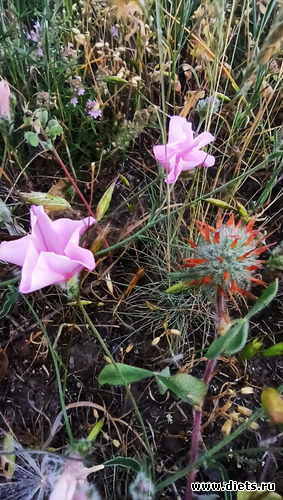 9 фото: Канака 28/05-06/06/2021