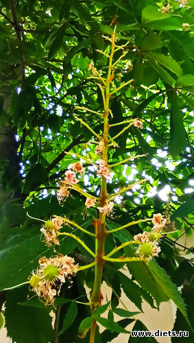 13 фото: Канака 28/05-06/06/2021