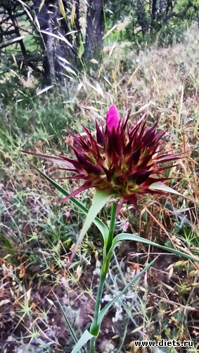 26 фото: Канака 28/05-06/06/2021