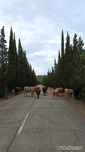 27 фото: Канака 28/05-06/06/2021