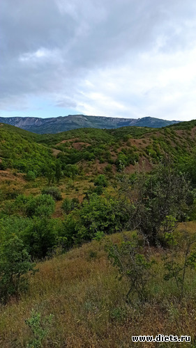 38 фото: Канака 28/05-06/06/2021