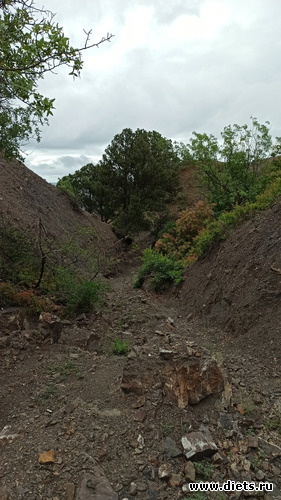 48 фото: Канака 28/05-06/06/2021