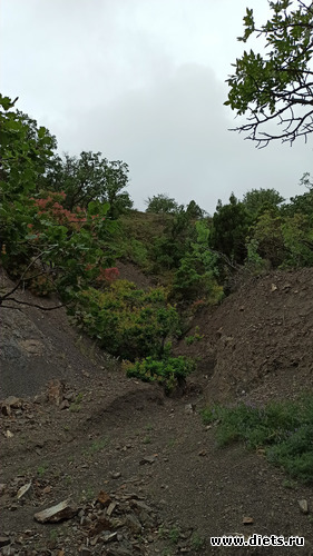 49 фото: Канака 28/05-06/06/2021