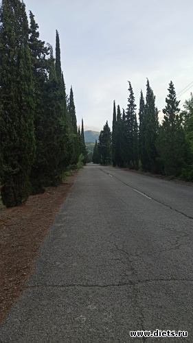 76 фото: Канака 28/05-06/06/2021