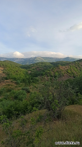 78 фото: Канака 28/05-06/06/2021