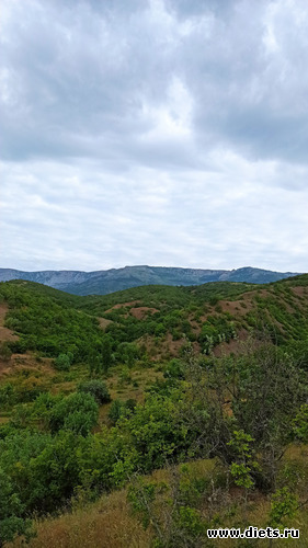 95 фото: Канака 28/05-06/06/2021