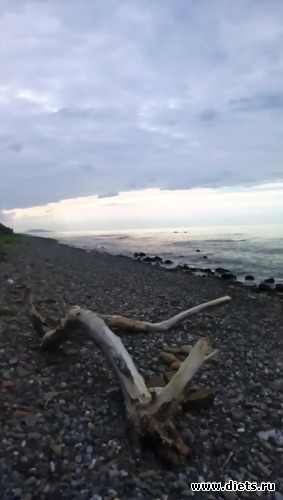 99 фото: Канака 28/05-06/06/2021