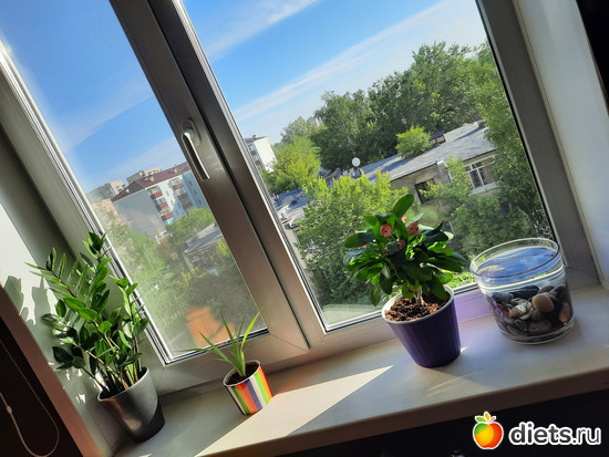 инсталляция: Утро, альбом: Моя оранжерея 2021