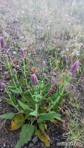 112 фото: Канака 28/05-06/06/2021