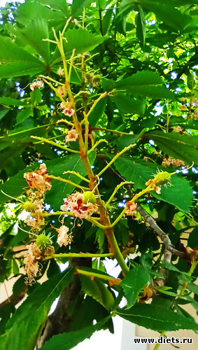 113 :  28/05-06/06/2021