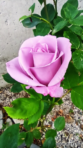 117 фото: Канака 28/05-06/06/2021