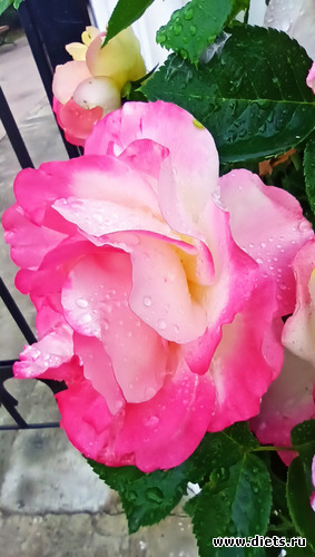 119 фото: Канака 28/05-06/06/2021