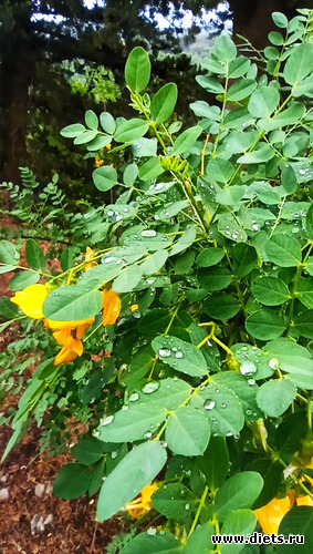 122 :  28/05-06/06/2021