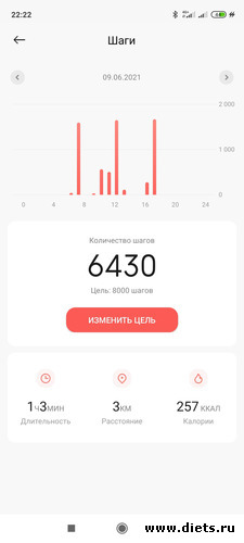 15 фото: шагомер