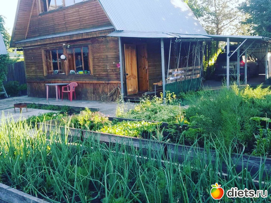 5 фото: 21.06.21