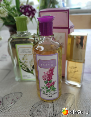 5 фото: Городские цветы