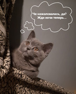 "Небушко"на ручках.