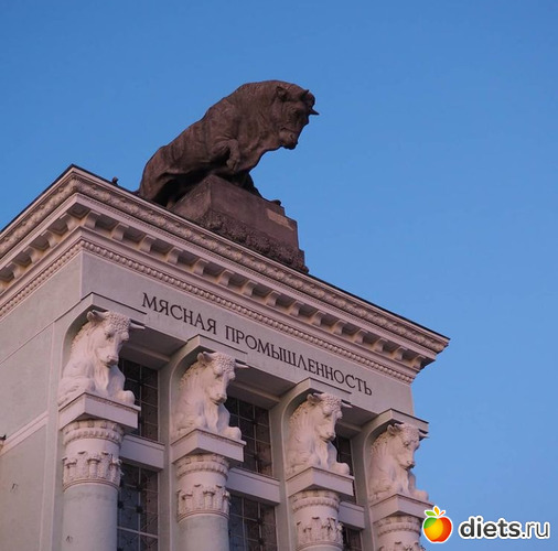 3 фото: Прогулки на велосипеде