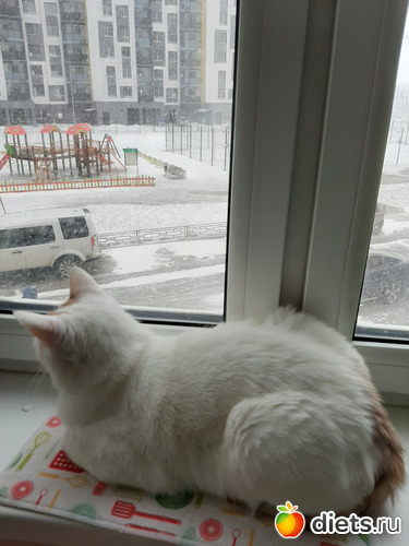 2 фото: 31032021