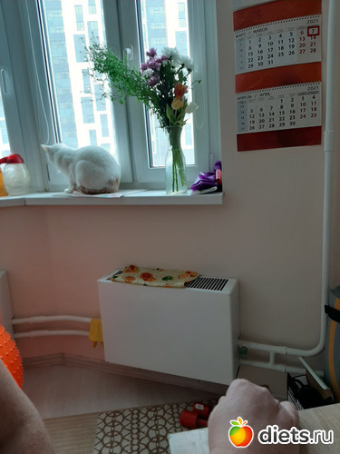 3 фото: 31032021