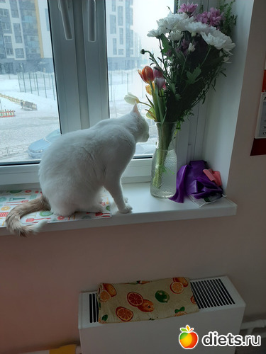 4 фото: 31032021