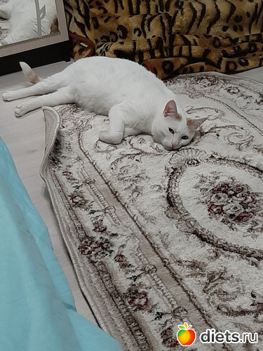 5 фото: 31032021