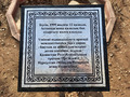 здесь был Назарбаев и посадил это дерево