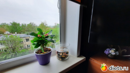 и её новый жилец, альбом: Моя оранжерея 2021