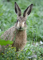 ������������ ����. ���� ��� � ����� ��������� �����������