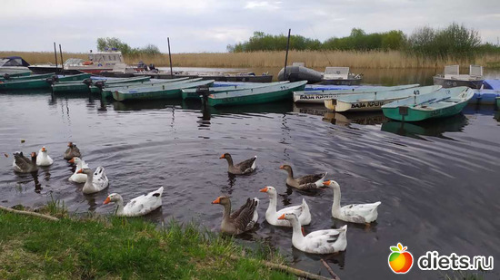 19 фото: Корюшка2021