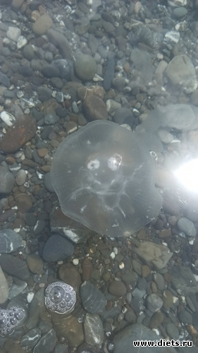 3 фото: Канака 28/05-06/06/2021